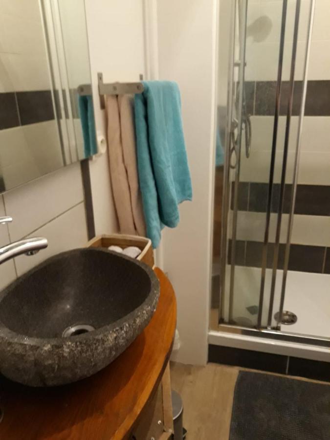 Le Langevin - Appartement Troyes Centre Екстериор снимка